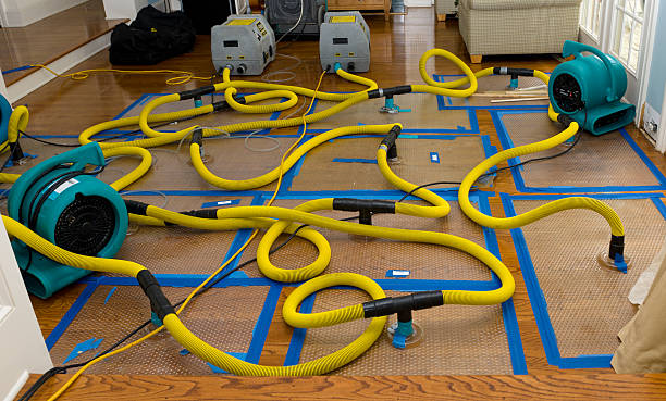 Professional Water Damage Restoration technician working in Jonesville, IN